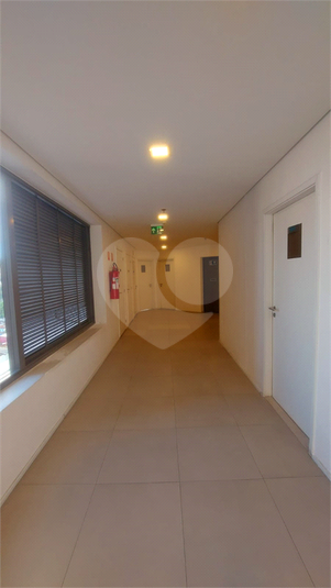 Foto REO1116284