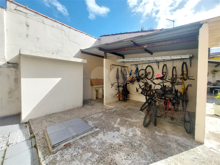 Foto REO1116298