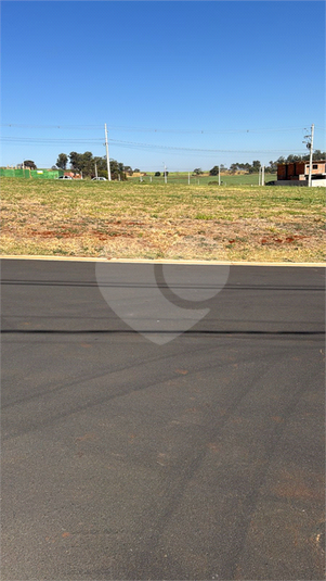 Foto REO1116303