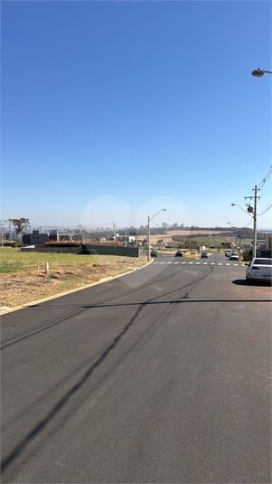 Foto REO1116303