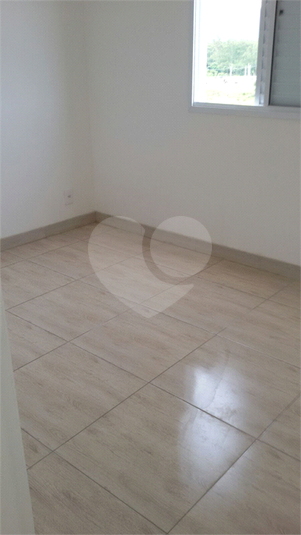 Foto REO1116311