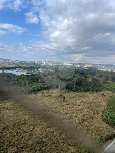 Foto REO1116311