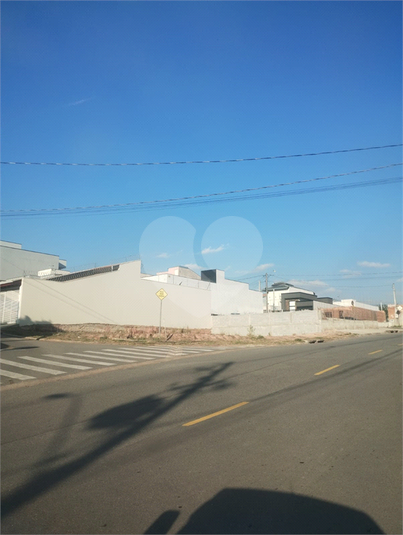 Foto REO1116313
