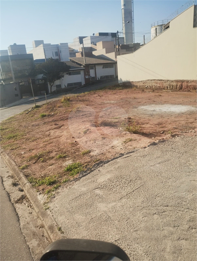 Foto REO1116313