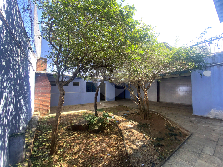 Foto REO1116322