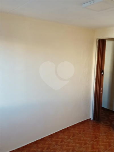 Foto REO1116323