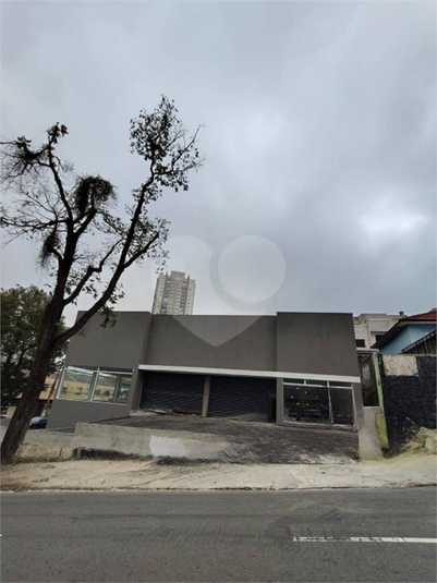 Foto REO1116326