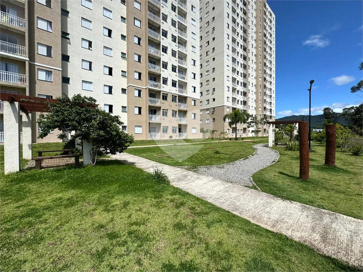 Foto REO1116327