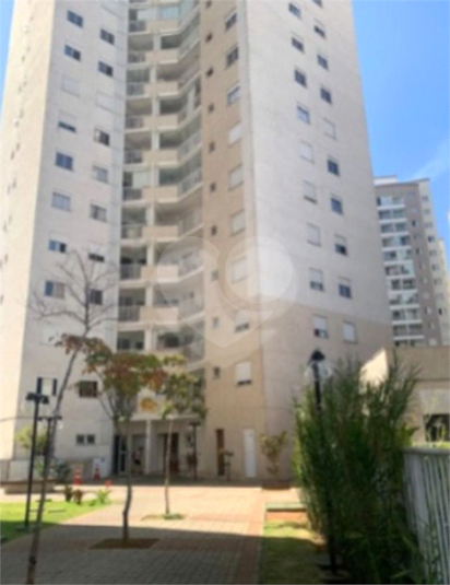 Foto REO1116330