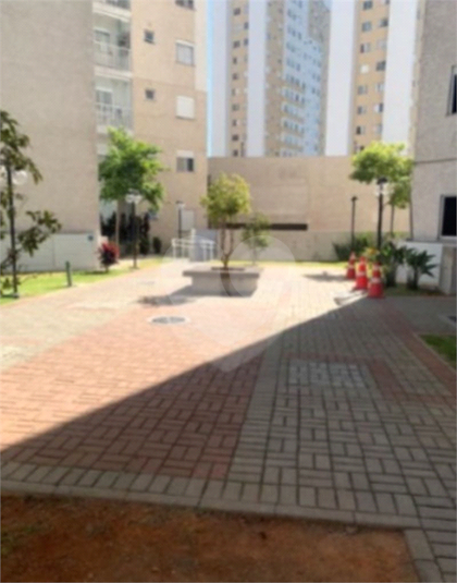 Foto REO1116330