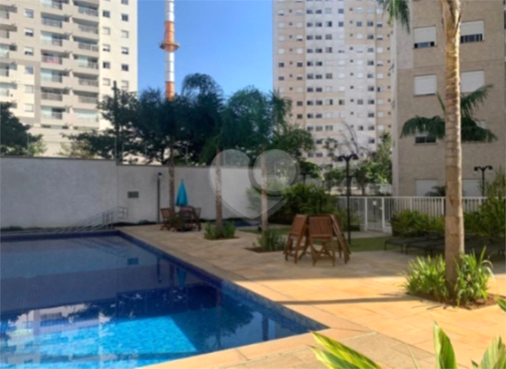 Foto REO1116330
