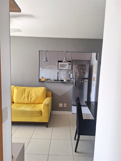 Foto REO1116332
