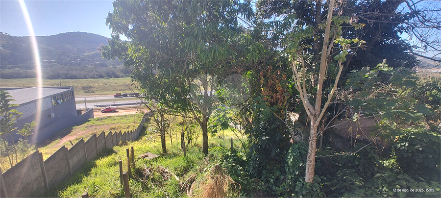 Foto REO1116333