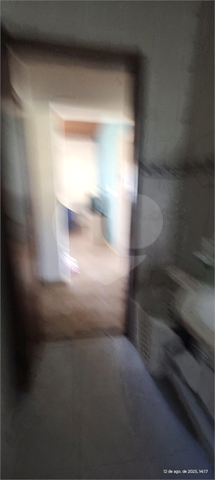 Foto REO1116333