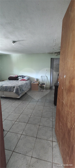 Foto REO1116333