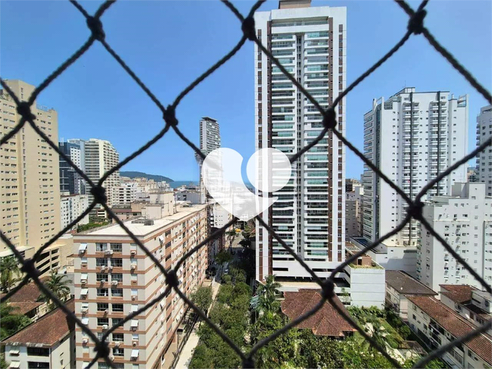 Foto REO1116345