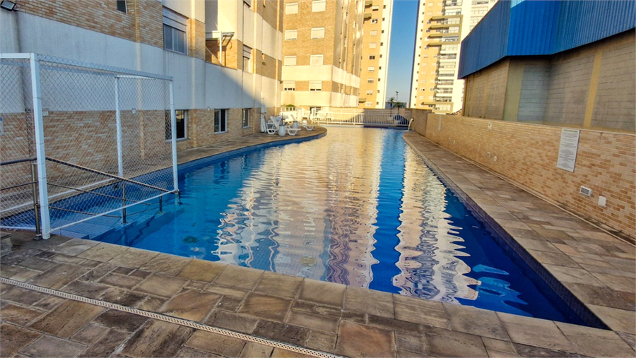 Foto REO1116350