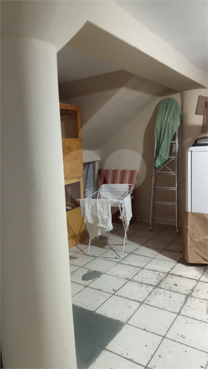 Foto REO1116358