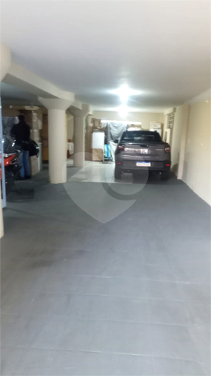 Foto REO1116358