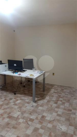 Foto REO1116358