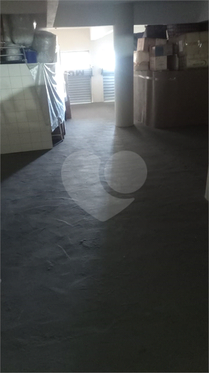 Foto REO1116358