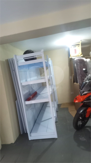 Foto REO1116358
