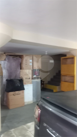 Foto REO1116358