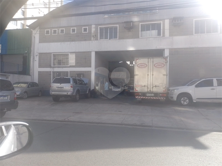 Foto REO1116361