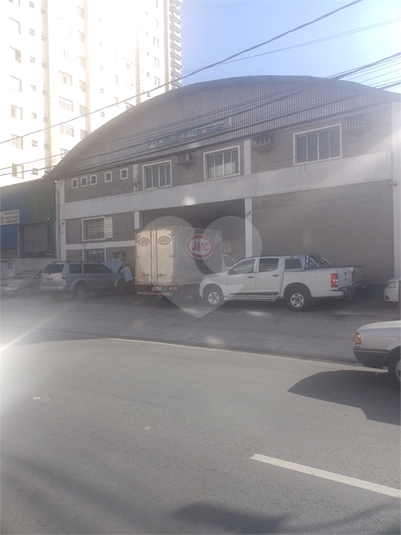 Foto REO1116361