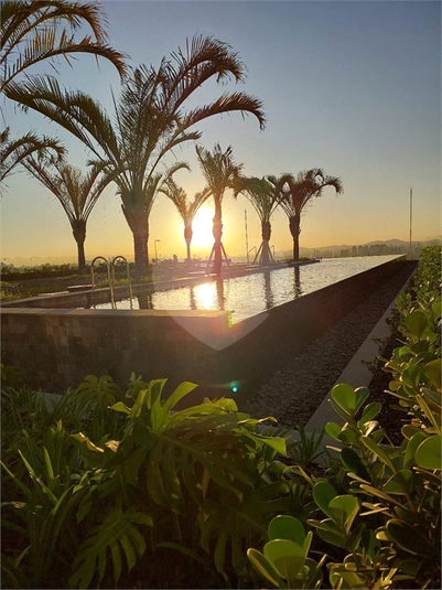 Foto REO1116362