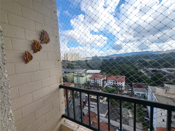 Foto REO1116363