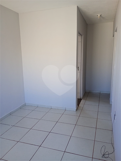 Foto REO1116364