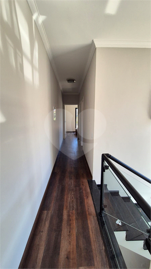 Foto REO1116369