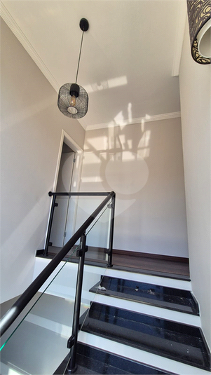 Foto REO1116369