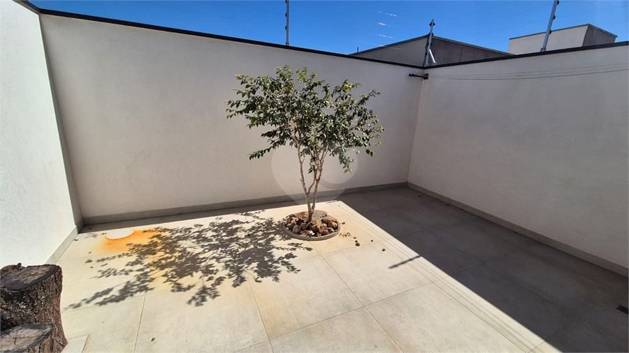 Foto REO1116369