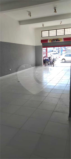 Foto REO1116370