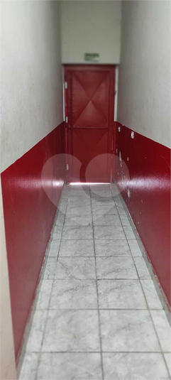 Foto REO1116370