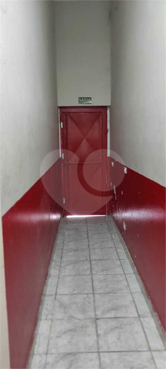 Foto REO1116370