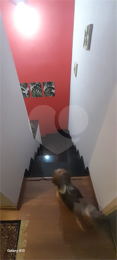 Foto REO1116371