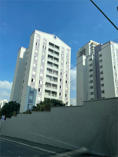 Foto REO1116376