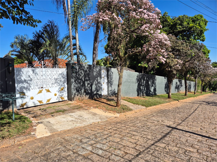 Foto REO1116378