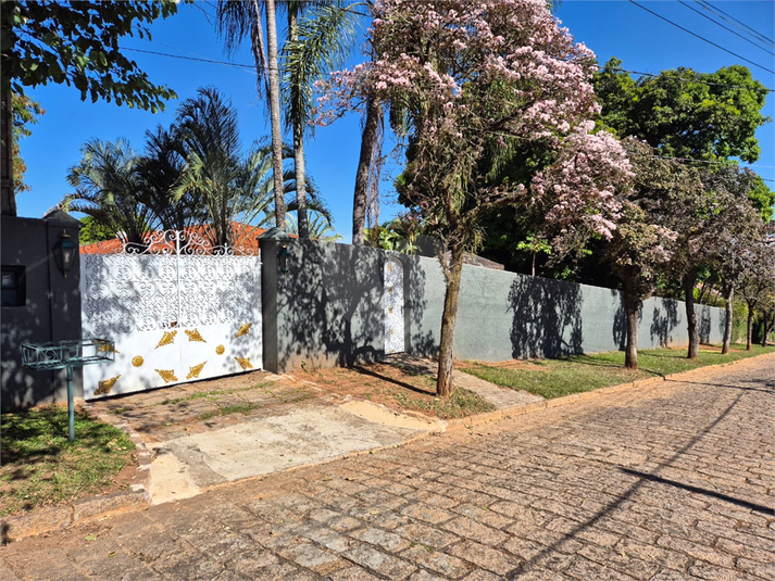 Foto REO1116378