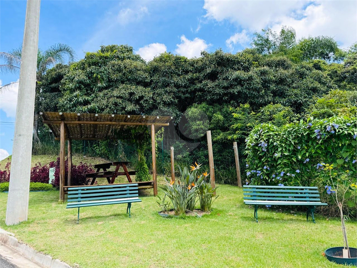 Foto REO1116387