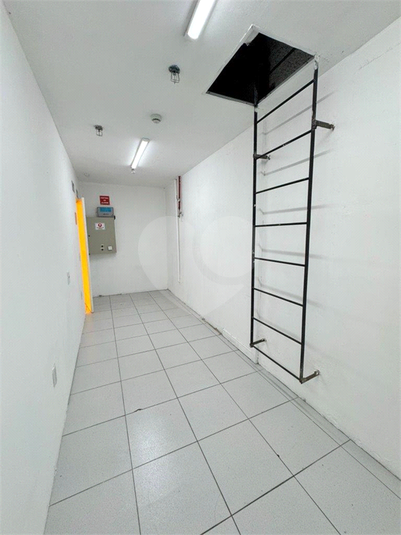 Foto REO1116393