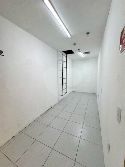 Foto REO1116393