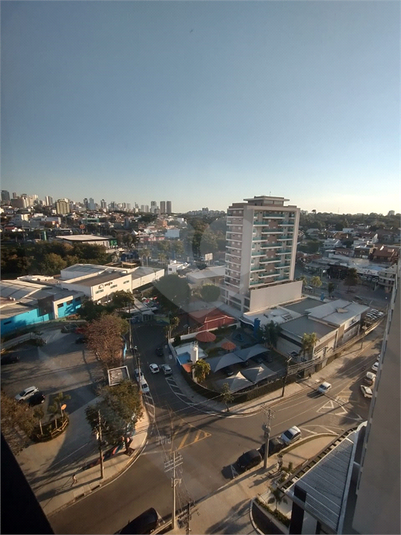 Foto REO1116397