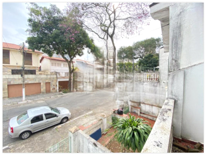 Foto REO1116418