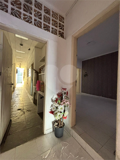 Foto REO1116426