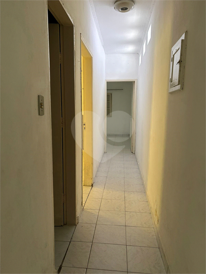 Foto REO1116426
