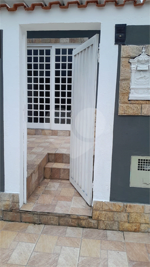 Foto REO1116430